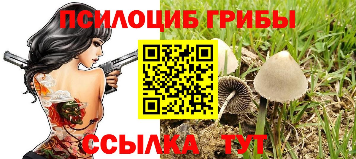 Галлюциногенные грибы прущие грибы Мурино