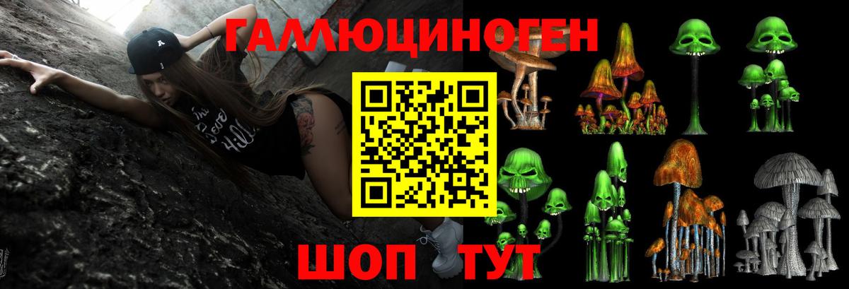 Псилоцибиновые грибы мицелий  Галлюциногенные грибы MAGIC MUSHROOMS  Вход с VPN  Мурино 
